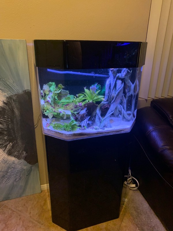 26 Gallon Acrylic Hex Angle Front Aquarium & Stand – Freshwater or Saltwater