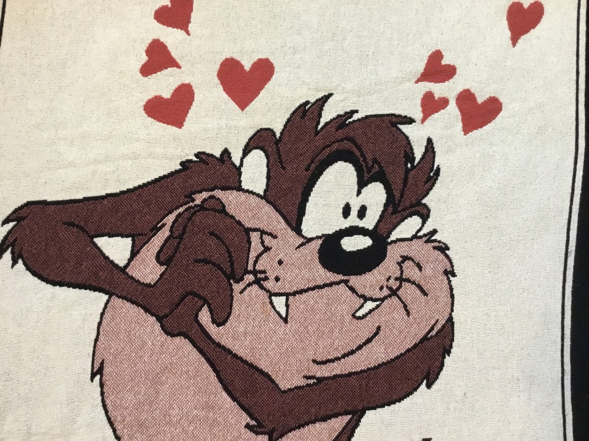 VTG 1993 Warner Brothers Tasmanian Devil In Love Throw Blanket