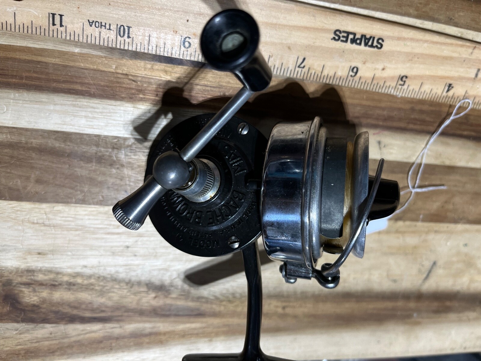 Bache Brown Mastereel (23139)