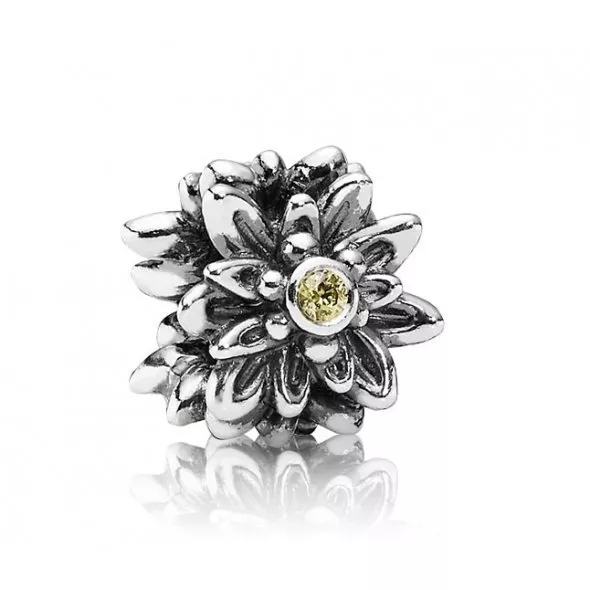 Genuine pandora outlet charms ebay