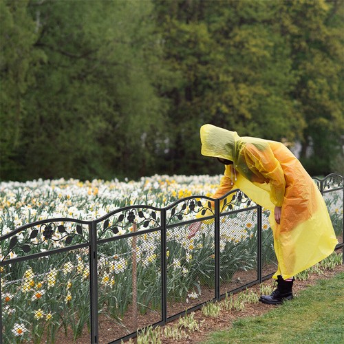 5pcs Heavy Duty Garden Fence Metal Anti-jumping Animal Barrier Outdoor 80/110cm - Picture 6 of 26