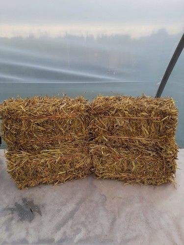Mini straw bale - Picture 3 of 7