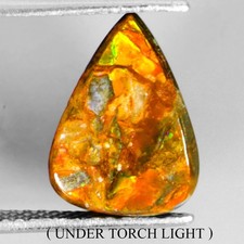 Amazing Natural Hot Rainbow Luster Ammolite Canada 6.75ct 16x11.5mm Gem Rare Nr