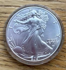 2021 🔥 AMERICAN SILVER EAGLE - 1 oz .999 Silver, BU - In Case