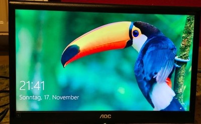 AOC 47 cm (18,5 Zoll) 16:9 LCD Monitor - Schwarz