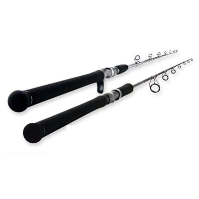 TENRYU Spinning Rod JIG-ZAM Dragg Force 621S-4 | eBay