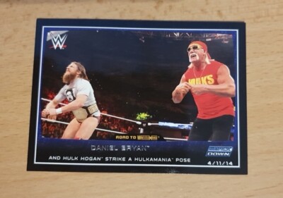 WWE Karte DANIEL BRYAN & HULK HOGAN / 3 Topps 2015 Wrestling Card WWF Danielson