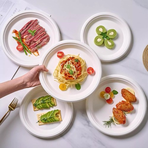 9 Zoll super starre starke Bagasse Papierplatten Einweg Party Teller biologisch abbaubar - Bild 2 von 10