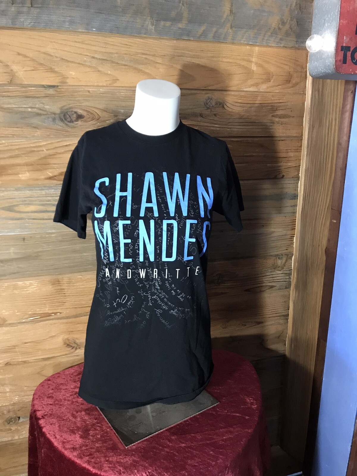 Shawn Mendes Singer Songwriter 2015 Handwritten Tour … Gem