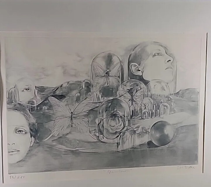 Picture 11 of 20