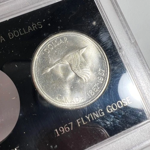 1967 Canada Silver Dollar Flying Goose Centennial Coin 80% Uncirculated BU #6