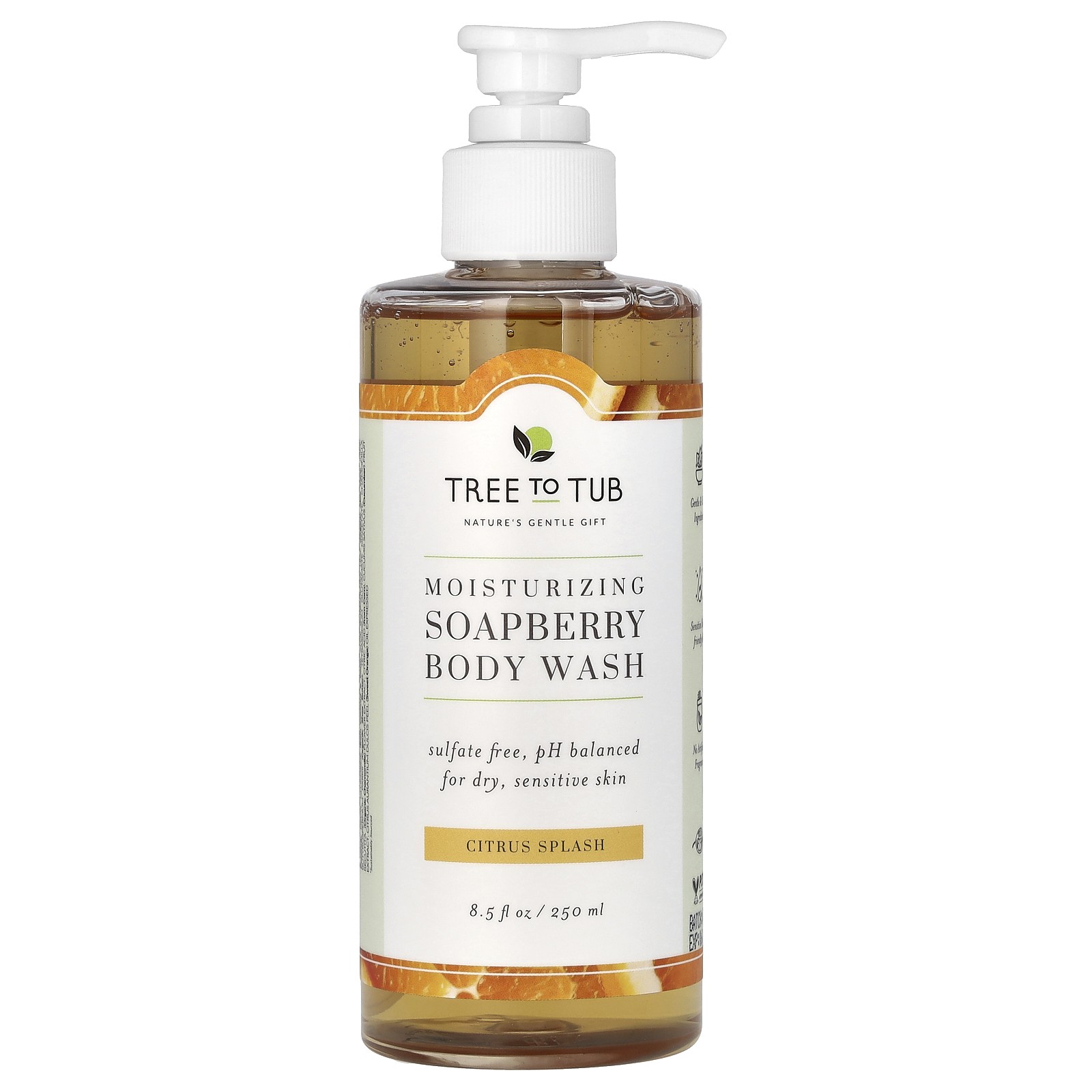 Moisturizing Soapberry Body Wash, Citrus Splash, 8.5 fl oz (250 ml)