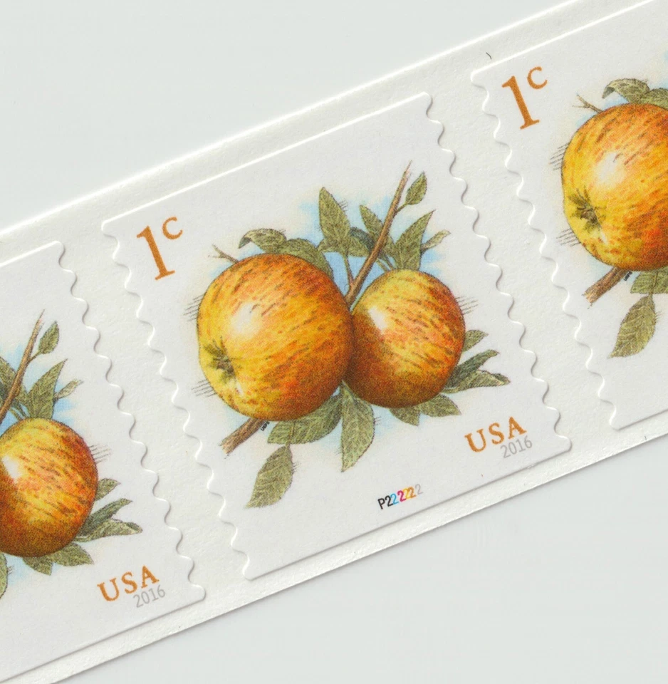 USA # 5037 Apples 1c (2016) - PNC9 #P222222 Coil Strip of 9 Stamps, Mint - Image 2 of 2