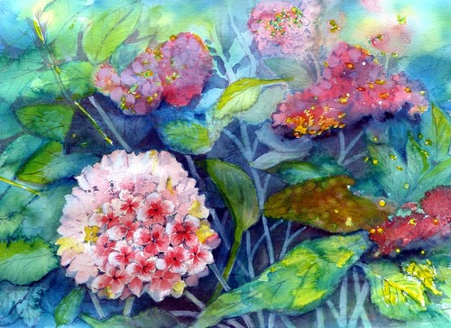 'Hydrangeas - Chinese method' by The Green Goddess - Diana Moran - Picture 1 of 2