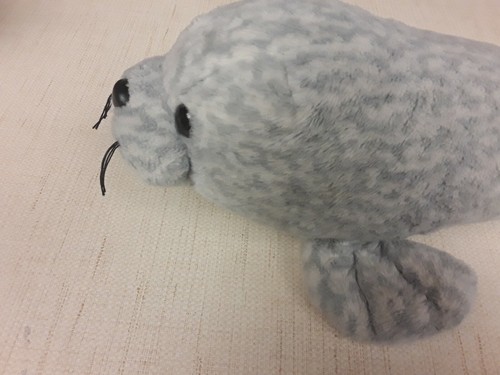 Grey Spotted Seal Plush Toy - Picture 4 of 7