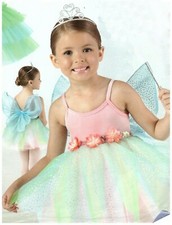 Fairy Dance Costume Glittered wings flyers Free Tiara Size tot fits 2-3T velvet