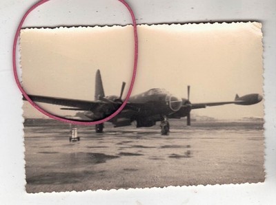 PHOTO FOTO FLUGZEUG LOCKHEED NEPTUNE  ORAN LE SENIA 30 JANVIER 1958