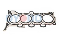 Oyodo Zylinderkopfdichtung FüR Hyundai IX35 2.0 Gdi I40 CW KIA Sportage Carens