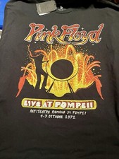 Pink Floyd Live In Pompell 1971 Junk Food Clothing Band T-Shirt Size Large NWT