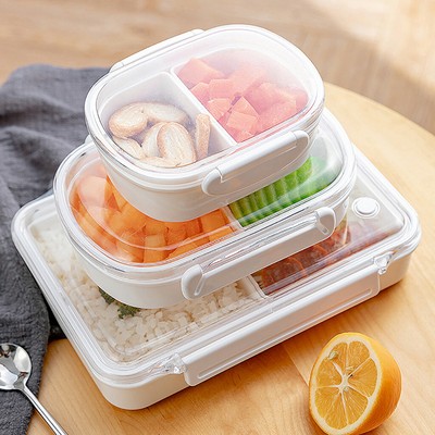 adult lunch containers
