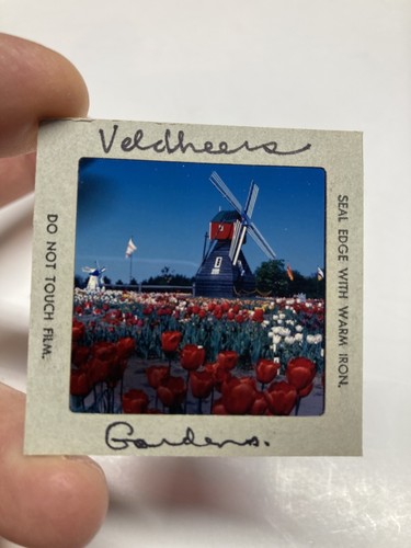 Beautiful Colorful Vintage Windmill And Flowers  Slide - Picture 1 of 2