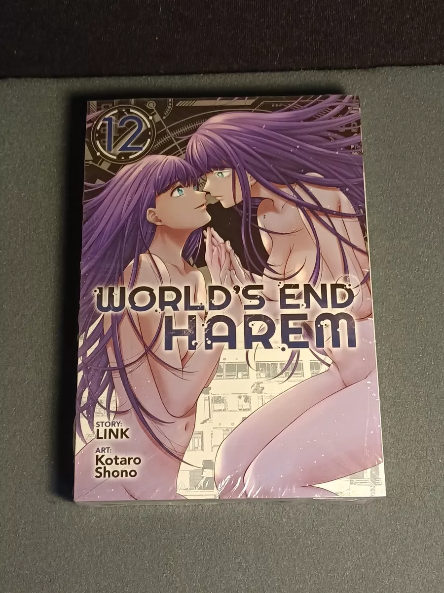 World's End Harem Vol. 12 by Link