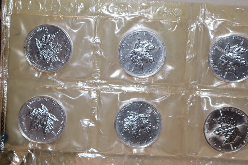 (10) 1999 Canada Mapleleaf Silver Coins Unc Original Plastic "Candy Stripes" - Picture 3 of 6