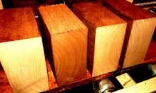 FOUR (4) KILN DRIED WALNUT BOWL BLANKS LATHE TURNING BLOCK WOOD 6" X 6" X 3" 