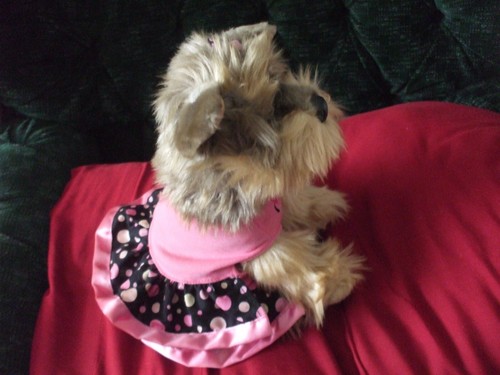 FAO Schwartz 9" plush Yorkie in pretty dress - Picture 2 of 6