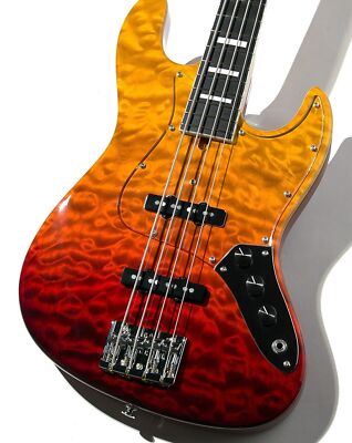 Bacchus WOODLINE-DX4 Used w/Gig case
