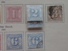 Foto 19 di 19