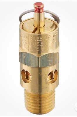 Milton ASME Coded Safety Valve, 1/4in. NPT, 200 PSI, Model# S-1090-200