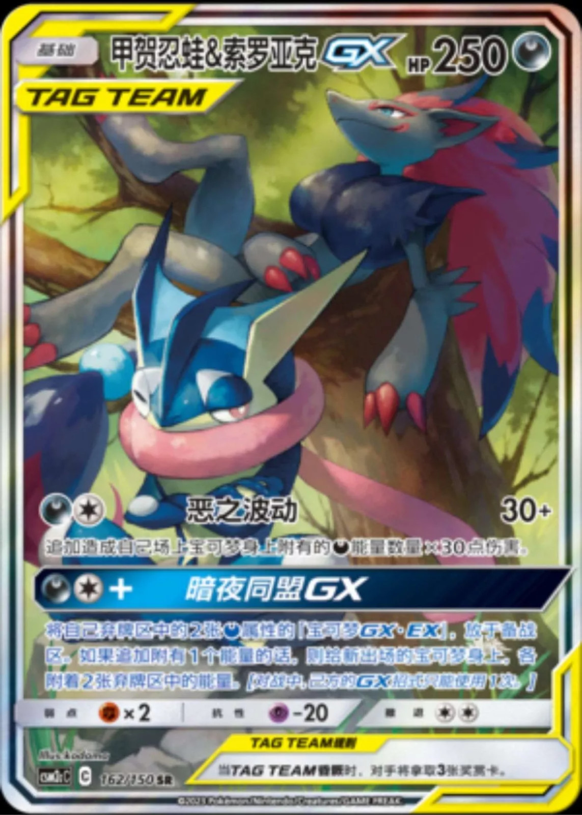 Greninja & Zoroark-GX SR Pokemon S-Chinese Sun&Moon CSM2cC-162 Holo Mint Alt Art