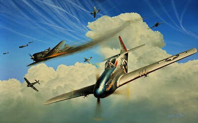 Masters of the Sky by Richard Taylor two print set with 11 autographs