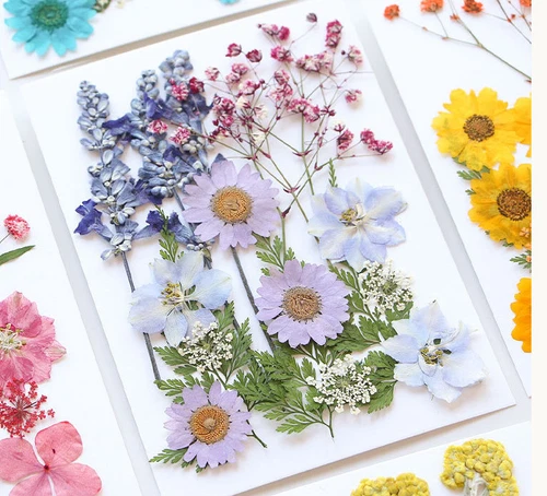 Dried Pressed Flowers Natural Epoxy Resin Candle Nail Art Scrapbooking Craft AU - Picture 49 of 210