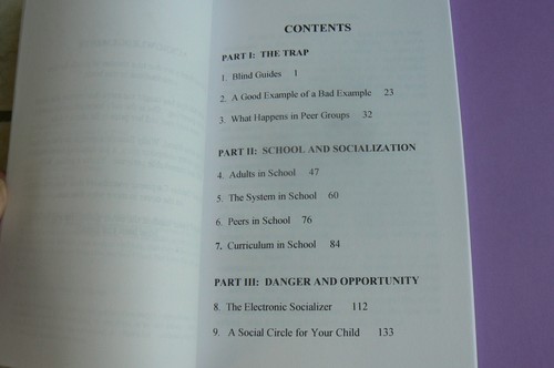 The Socialization Trap,Avoiding Pitfalls of Age Segregation,Boyer Homeschooling - Picture 3 of 6
