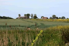 Photo A3 Crop field by Muswell Manor Leysdown-on-Sea  c2020