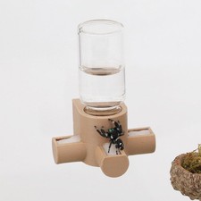 Daerky Jumping Spider Water Dispenser, Magnetic Hanging Wooden
