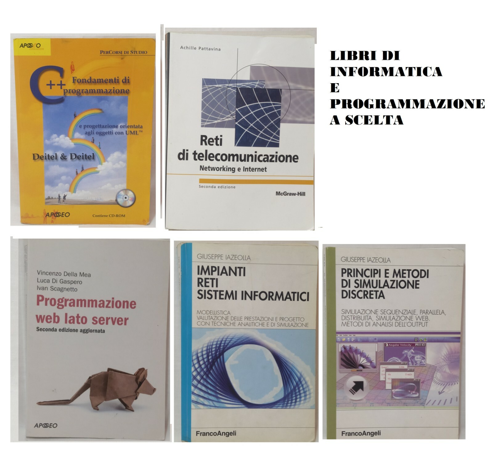 LIBRI INFORMATICA PROGRAMMAZIONE ANATOMIA CONCORSI UNIVERSITA' A SCELTA