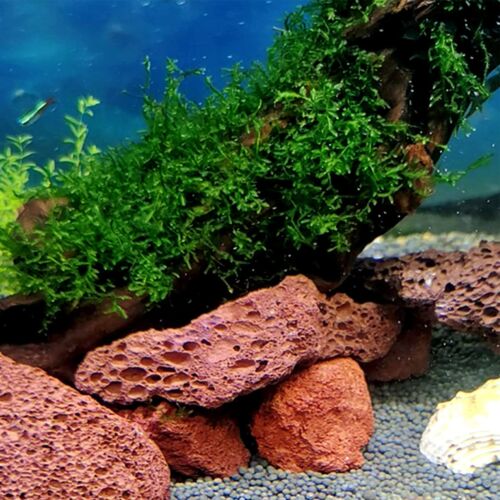 Aquarium Red Lava Rock 10 Pack Fish Tank Volcanic Pumice Stones for Betta Fis... - Picture 3 of 7