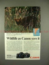 1989 Canon EOS 620 & 650 Camera Ad w/ Southern Pudu!!