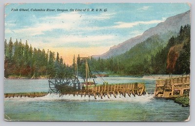 Postcard Fish Wheel, Columbia River, Oregon, 1911 on line of O. R.& N. Co A10865
