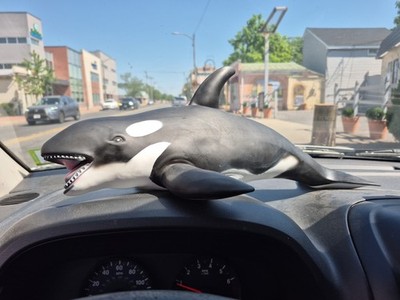 80S Vintage SET 3 Giant Sea Life ORCA HUMPBACK WHALE DOLPHIN Fast