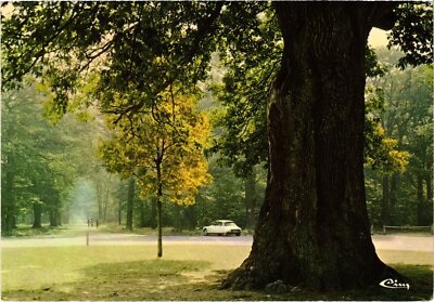 CPM Foret de Senart Le chene Dantin FRANCE (1377430)