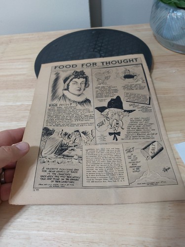 THE FAMILY CIRCLE magazine-NOVEMBER 12,1943 WAR PIGEONS AND WAR ADVERTISING - Picture 15 of 15