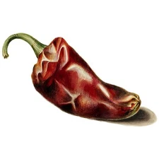 Red Pepper W. Hekking Tile Mural Kitchen Bathroom Wall Backsplash Marble Ceramic