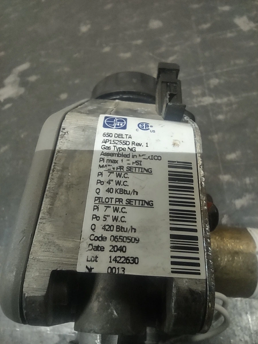 SIT 650DELTA AP15255A-1 Thermostat (NG) for Rheem/Ruud/Richmond Water  H-read Des | eBay