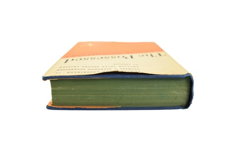 Die Besessenen 1936 Dostojewski moderne Bibliotheksausgabe mit seltenem Schutzumschlag - Bild 5 von 24