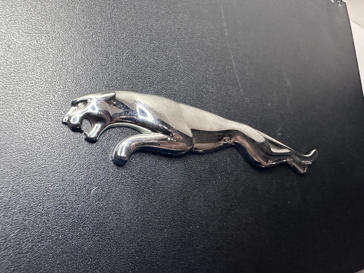 JAGUAR トランペット ヤマハ トランペット シグネチャーモデル 特集 | 山野楽器 | CD