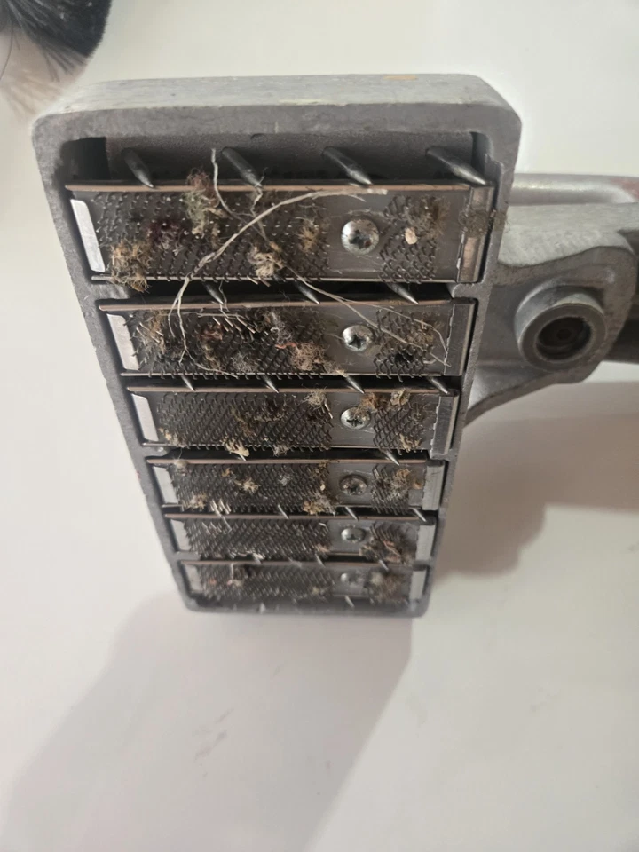 Camilla de alfombra Roberts Crab Power - ¡Envío gratuito! Foto 3 de 4